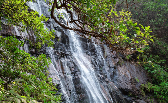 Bhopal To Pachmarhi